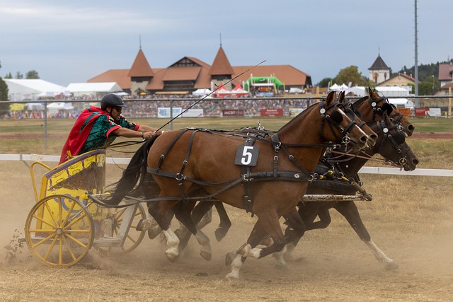 姚明不仅是 姚明不仅是